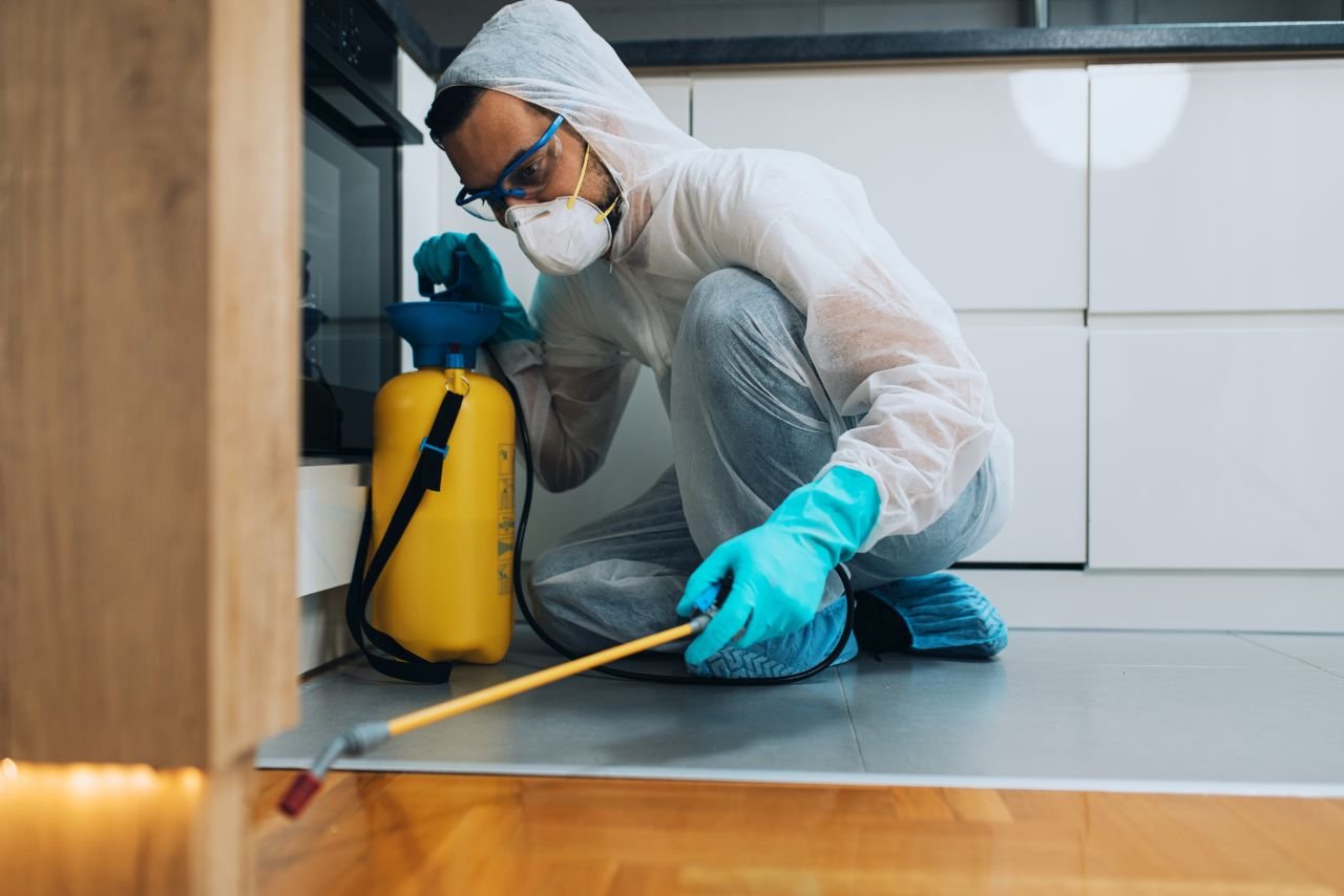 California’s Trusted Rodent Control & Prevention Experts