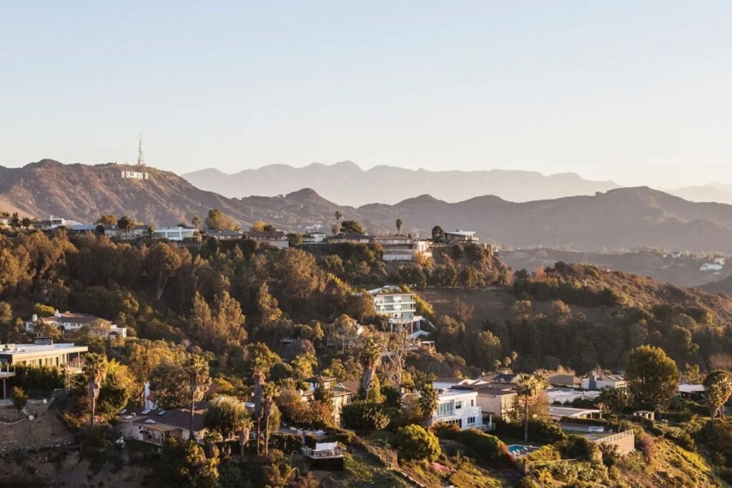 Hollywood Rodent Control