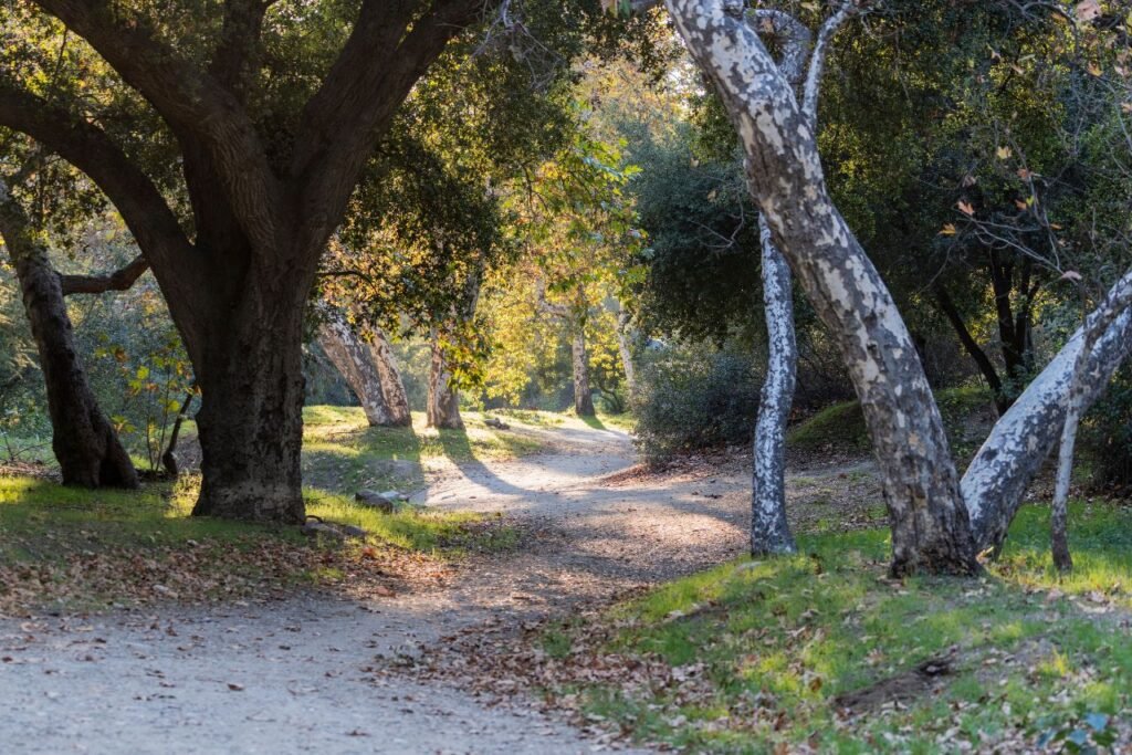 La Cañada Flintridge