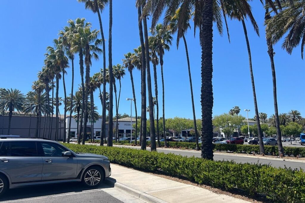Aliso Viejo