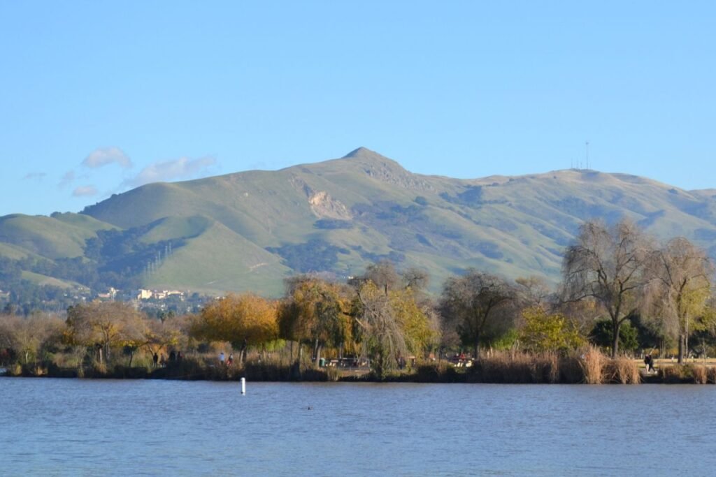 Fremont