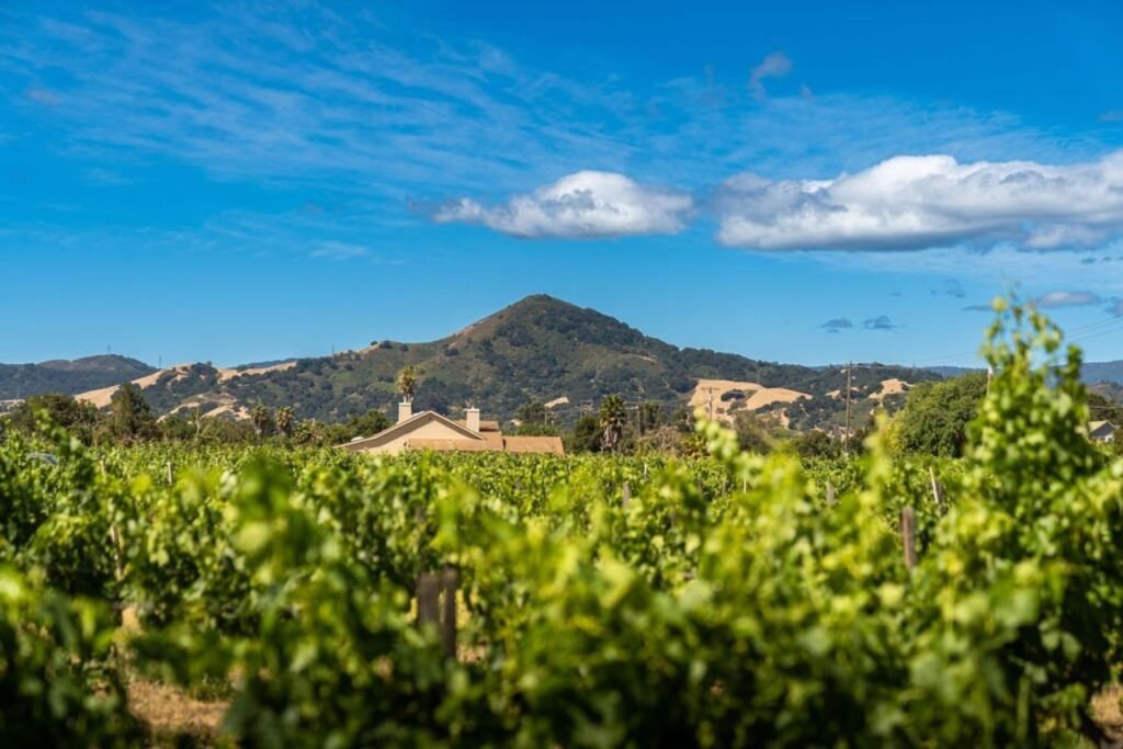 Morgan Hill
